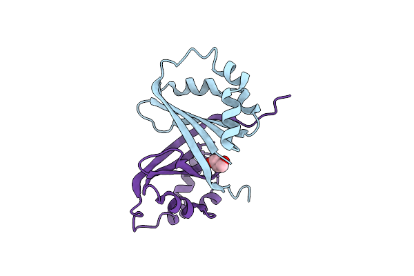 8AVH image