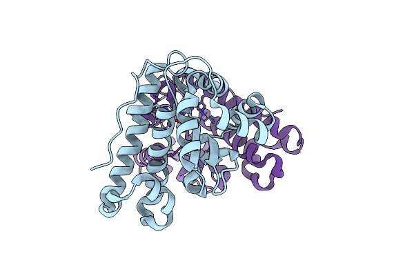 8AVN image