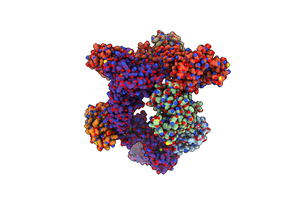 8AVO image