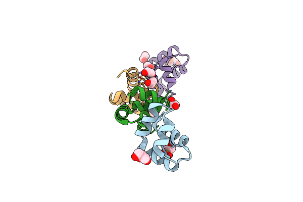 8AVT image