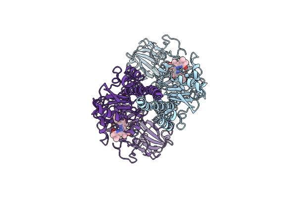 8AVV image
