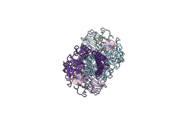 8AVW image