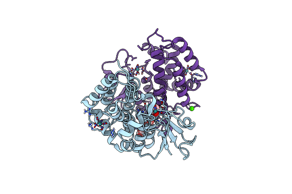 8AX1 image