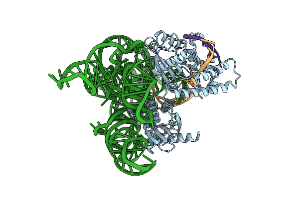 8AXA image