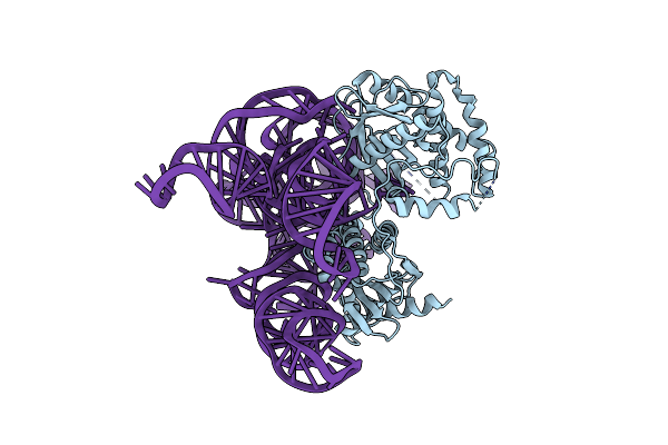 8AXB image