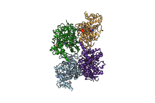 8AXC image
