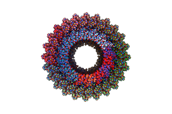 8AXN image