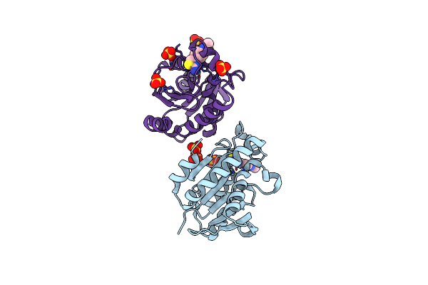 8AXP image