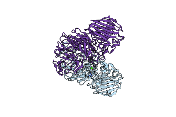 8AXT image