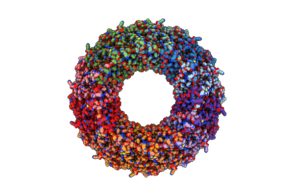 8AXV image