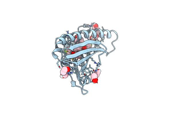 8AXW image