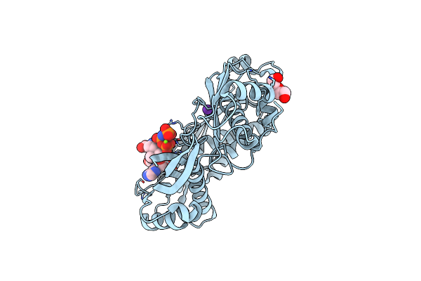 8AXZ image