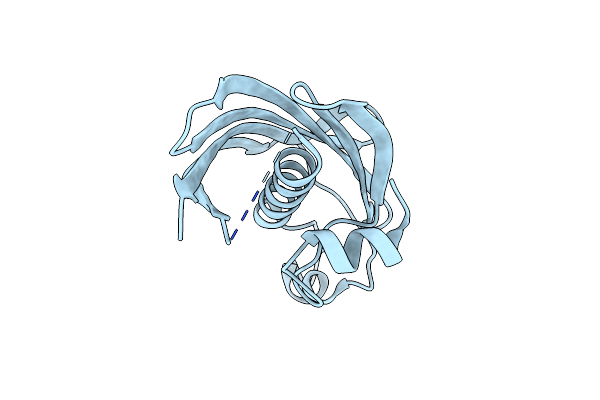 8AYC image
