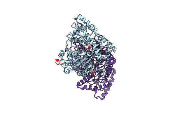 8AYF image