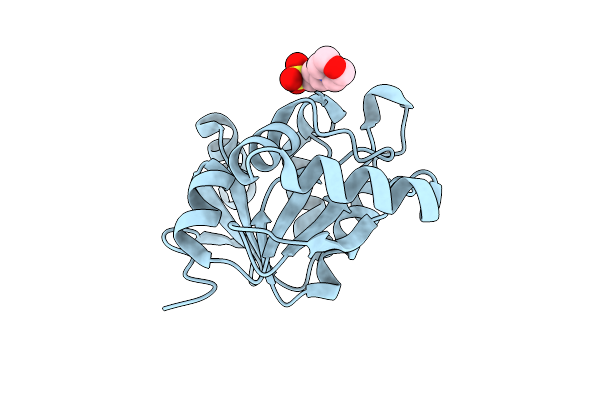 8AZC image