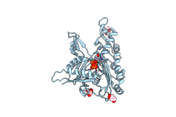8AZG image