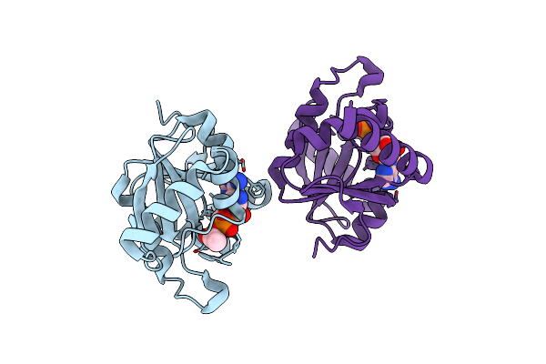 8AZO image