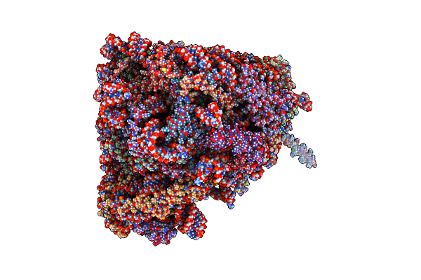 8AZW image