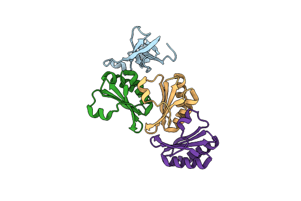8B11 image