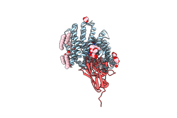 8B1A image