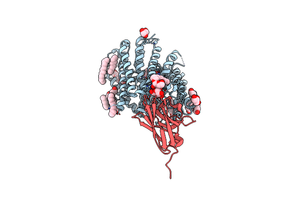 8B1C image