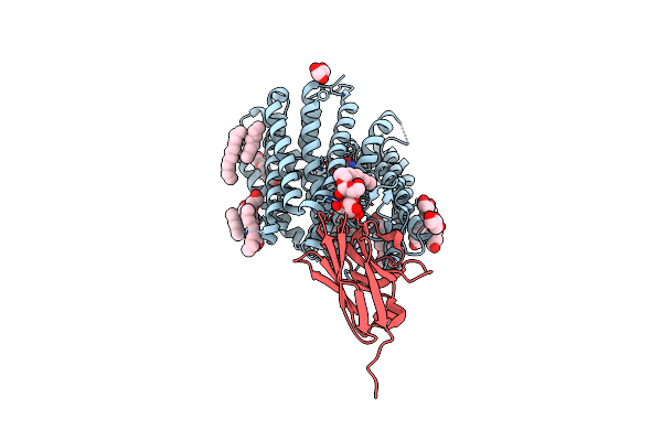 8B1H image