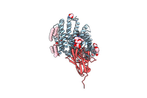 8B1J image