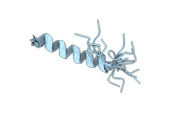 8B1L image