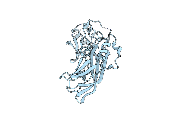 8B1O image