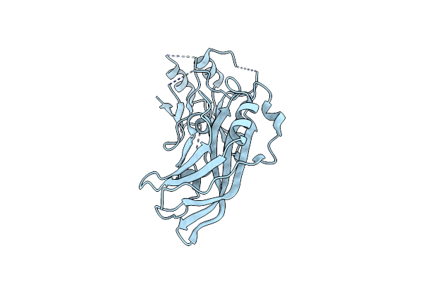 8B1P image