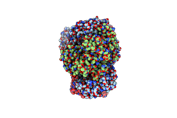 8B1R image