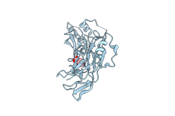 8B1S image