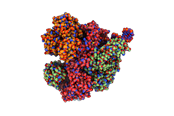 8B1T image