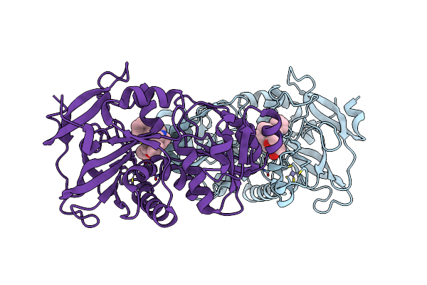 8B1V image