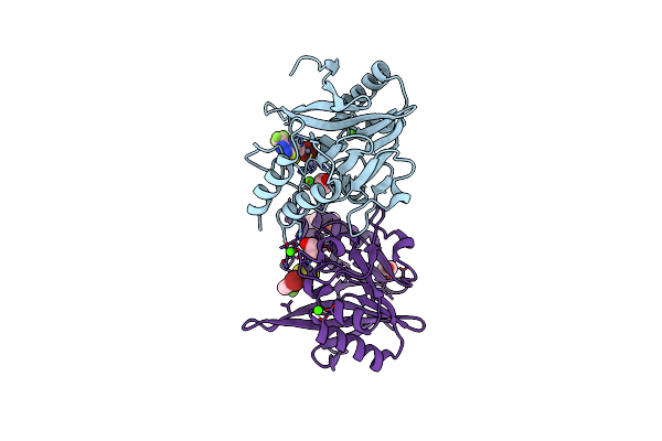 8B1W image