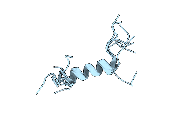 8B1X image