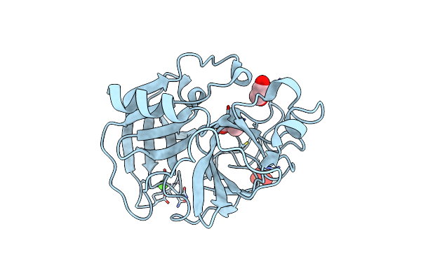8B1Y image