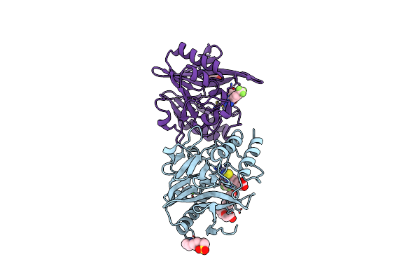 8B1Z image