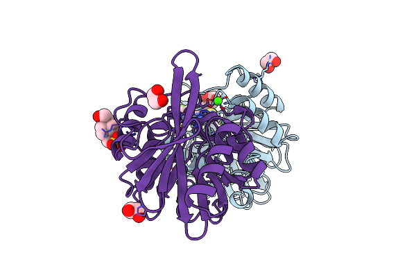 8B20 image