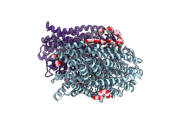 8B21 image