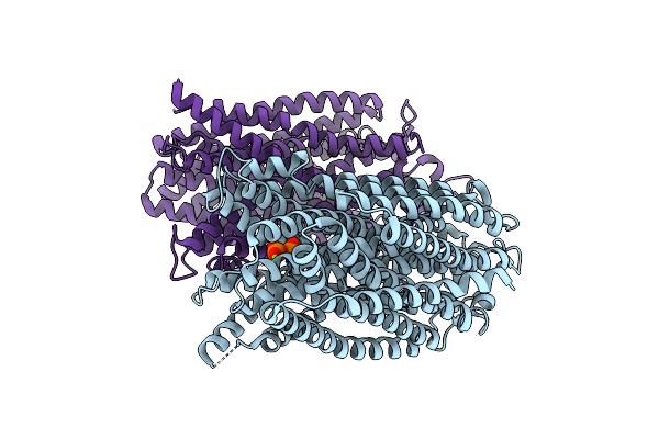 8B22 image