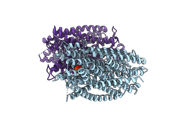 8B23 image