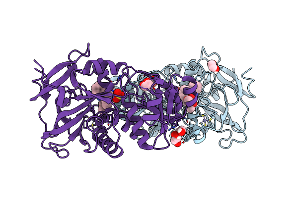8B25 image