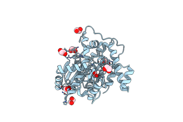 8B28 image