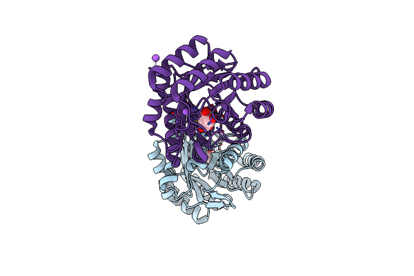 8B2B image