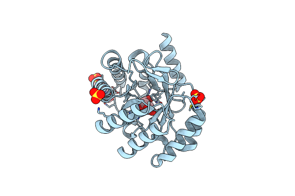 8B2C image