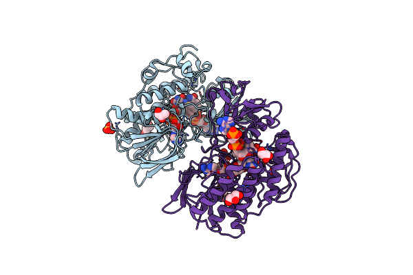 8B2D image