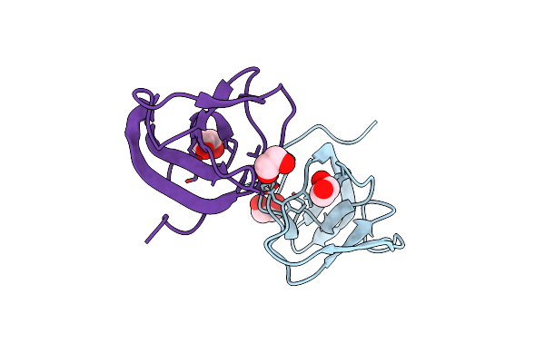 8B2G image