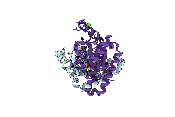 8B2J image