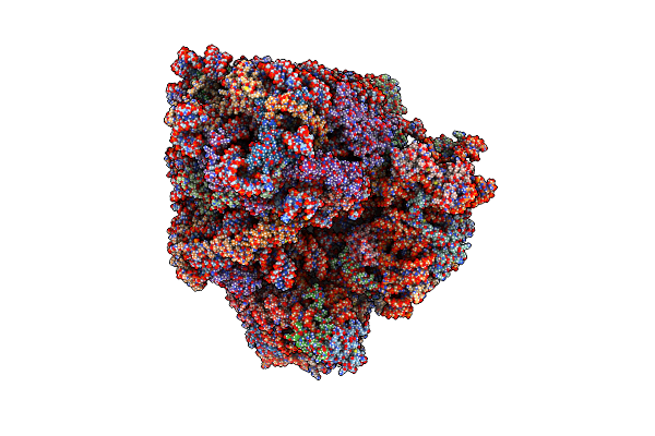 8B2L image